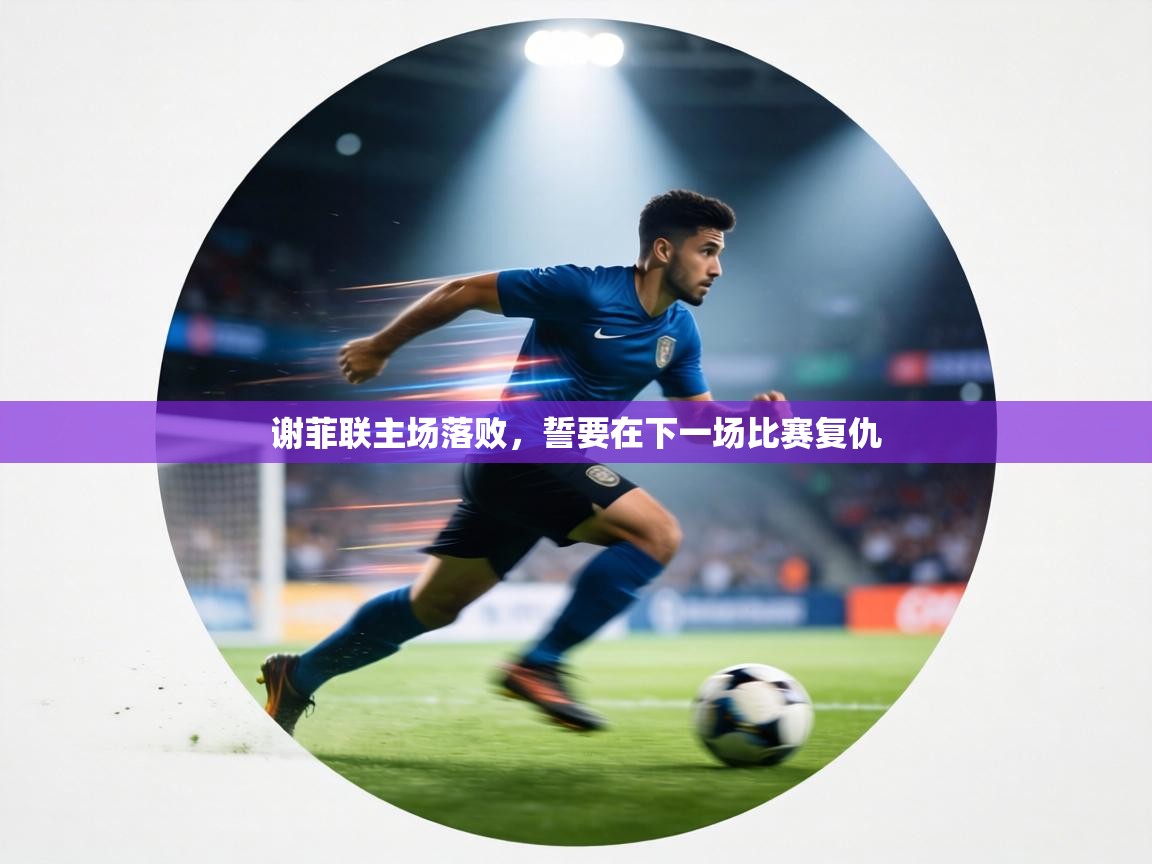 谢菲联主场落败,誓要在下一场比赛复仇 谢菲联主场落败,誓要在下一场比赛复仇