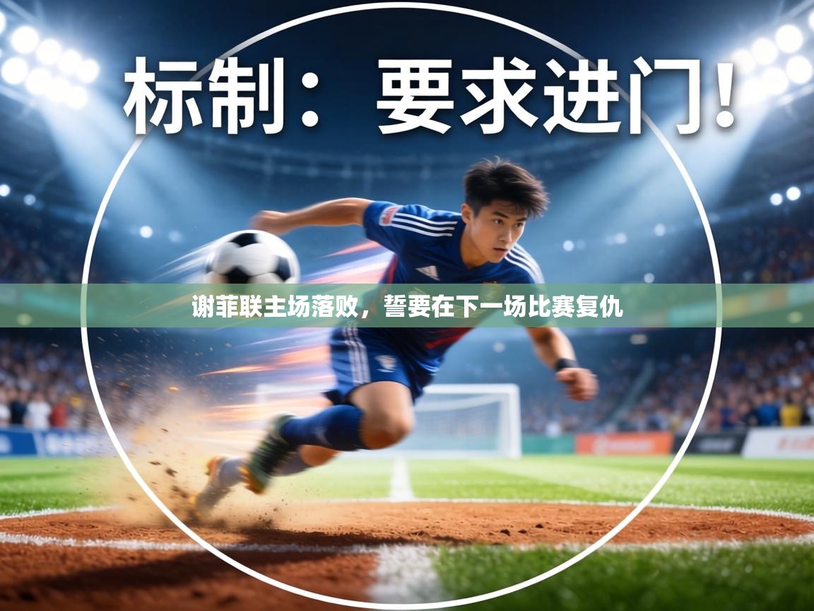 谢菲联主场落败,誓要在下一场比赛复仇 谢菲联主场落败,誓要在下一场比赛复仇